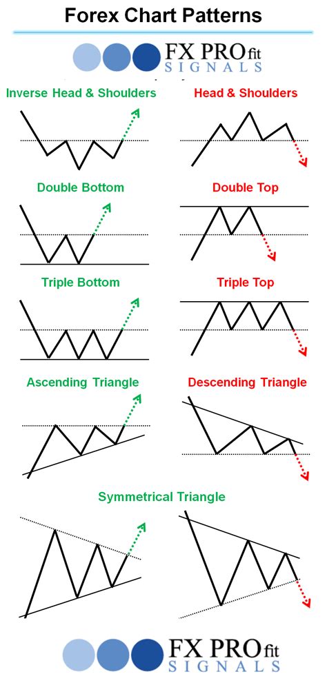 How Market Signals Shape